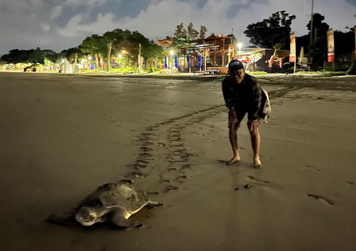 Bali nemo naturetrip