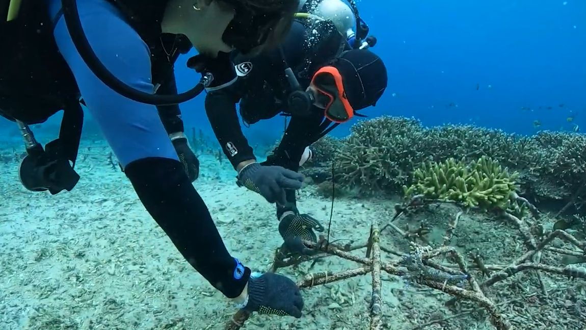 Eco Hero Nusa