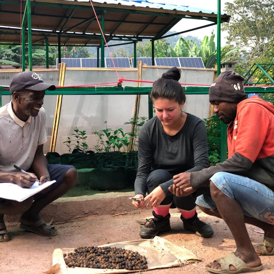 Madagascar Biodiversity Partnership